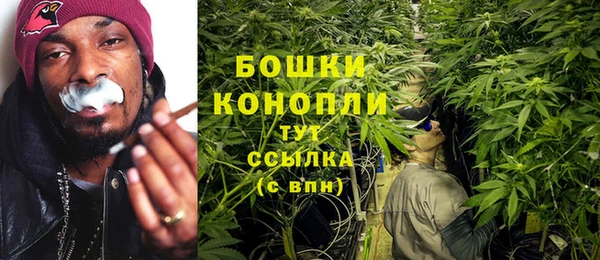 мет Аркадак