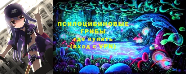 метадон Арсеньев